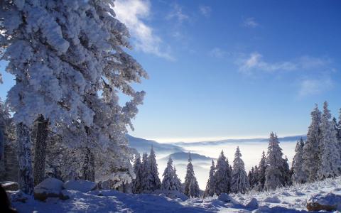 冬天，大自然，雪，森林，山