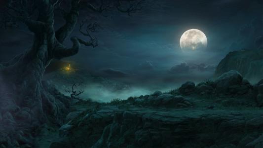 暗黑破坏神3，夜晚，月亮，岩石，树，小屋，云