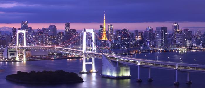 日本东京，东京湾，彩虹桥，东京，日本，东京湾，彩虹桥，夜晚的城市，桥，海湾，小岛，全景