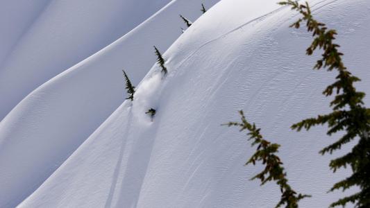 坡，雪，滑雪者，树