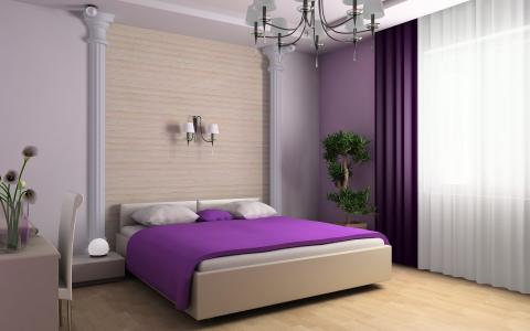 淡紫色卧室，一盆棕榈树