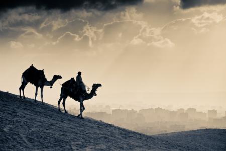 骆驼，人，沙，城市