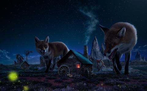 狐狸，巨人，房子，小屋，夜晚，满天星斗的天空，岩石