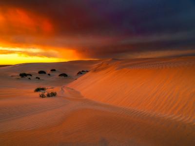 欧克拉，澳大利亚，天空，云彩，发光，沙漠，沙子
