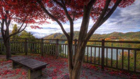 红色，叶子，孤独，长凳，山，上衣