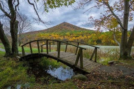 蓝岭大路，弗吉尼亚州，秋天，池塘，桥，树，景观