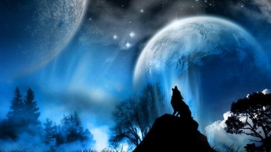 夜，星球，光辉，狼