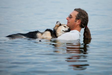 狗，男人，水，情况，友谊