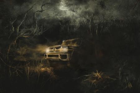 汽车，黑暗，艺术，晚上，森林