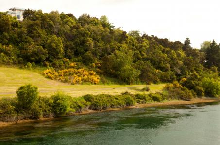 新西兰，怀卡托河，河流，岸边，坡道，道路