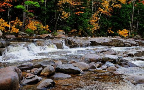 秋天，河，石头，景观