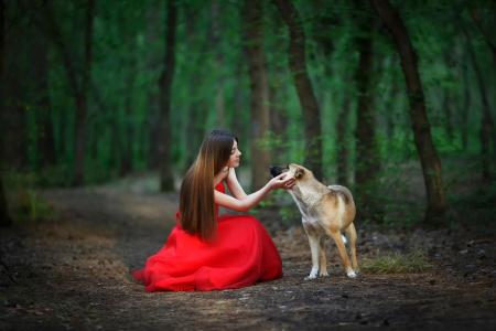 红色的连衣裙，森林，女孩，狗