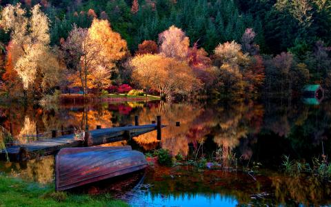 湖，景观，秋季，性质，树，房子，船，森林