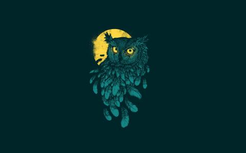 猫头鹰，鸟，月亮