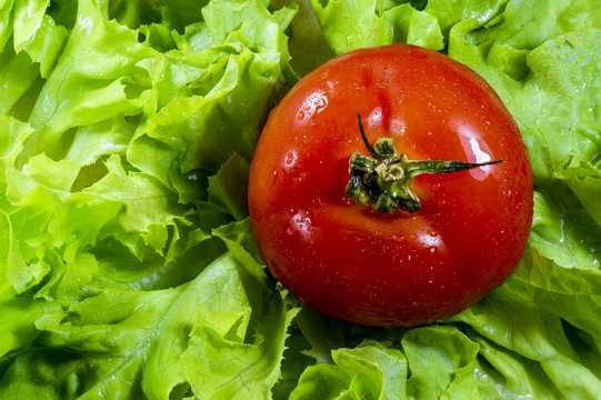 西红柿生菜沙拉素材图片