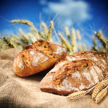 小麦粗麻布与烤面包图片