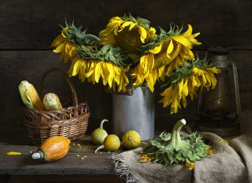 桌面上的向阳花