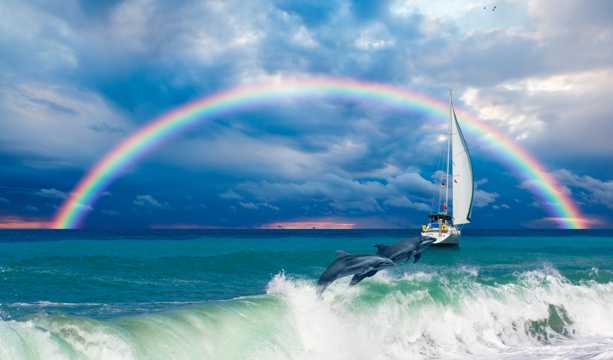 海洋帆船彩虹海豚图片