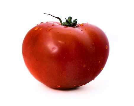 一颗番茄图片素材