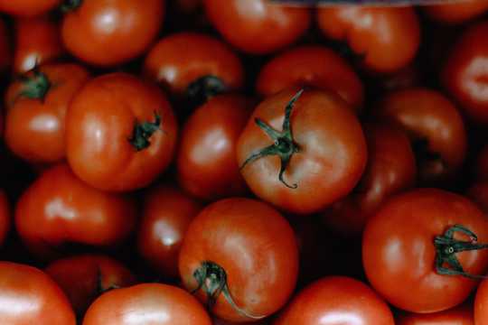 自然成熟番茄图片