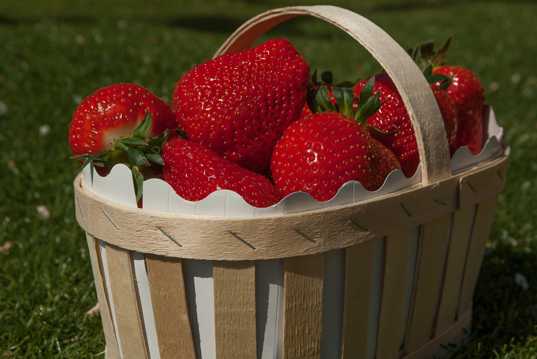 绯红好吃营养丰富的草莓图片