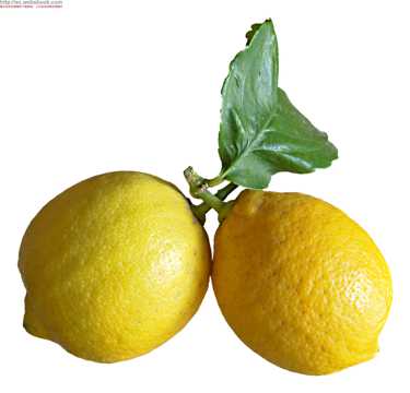柠檬和西柚图片