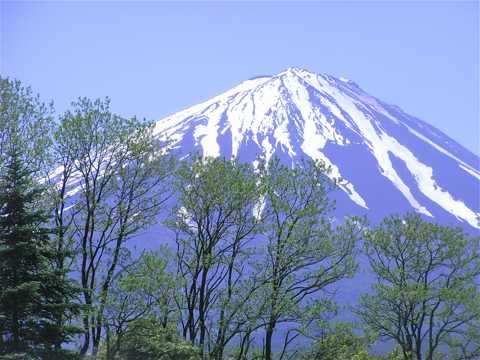 春日富士山图片