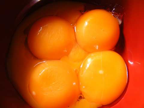 蛋清和蛋黄图片
