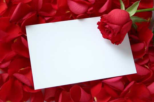 情人节卡片和玫瑰花图片
