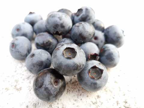美食蓝莓浆果图片
