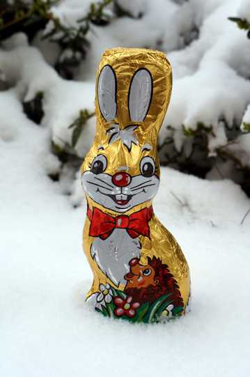 复活节兔子巧克力图片