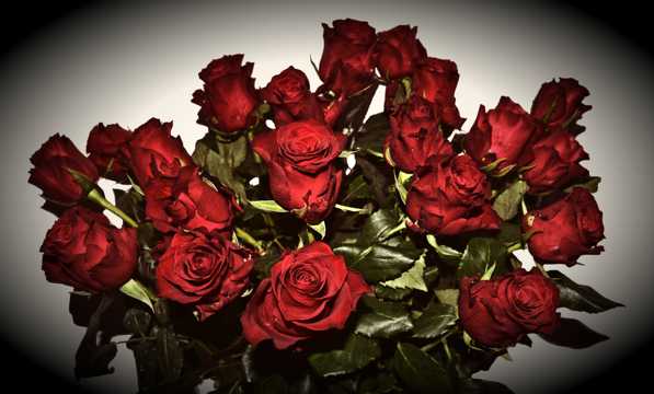 红玫瑰花草花束图片