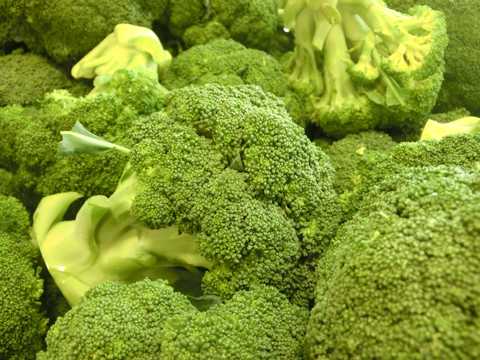 绿色蔬菜西兰花高清图片