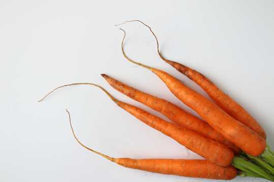 胡萝卜有机蔬菜图片
