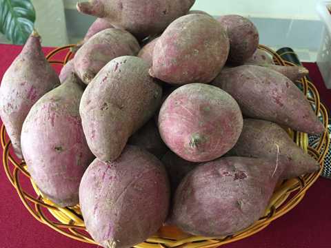 紫红薯图片