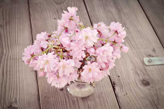 粉色樱花插花图片