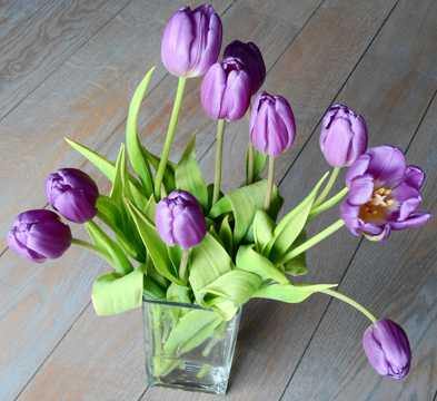 紫色郁金香插花图片